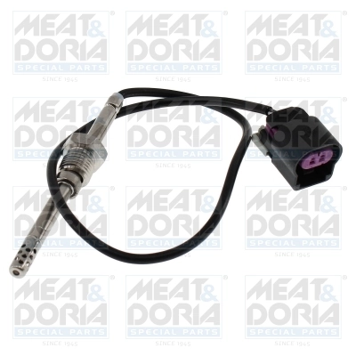Sensor, exhaust gas temperature